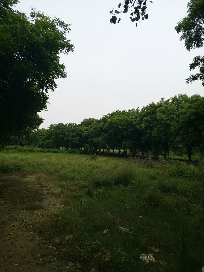 JRR gallery image six